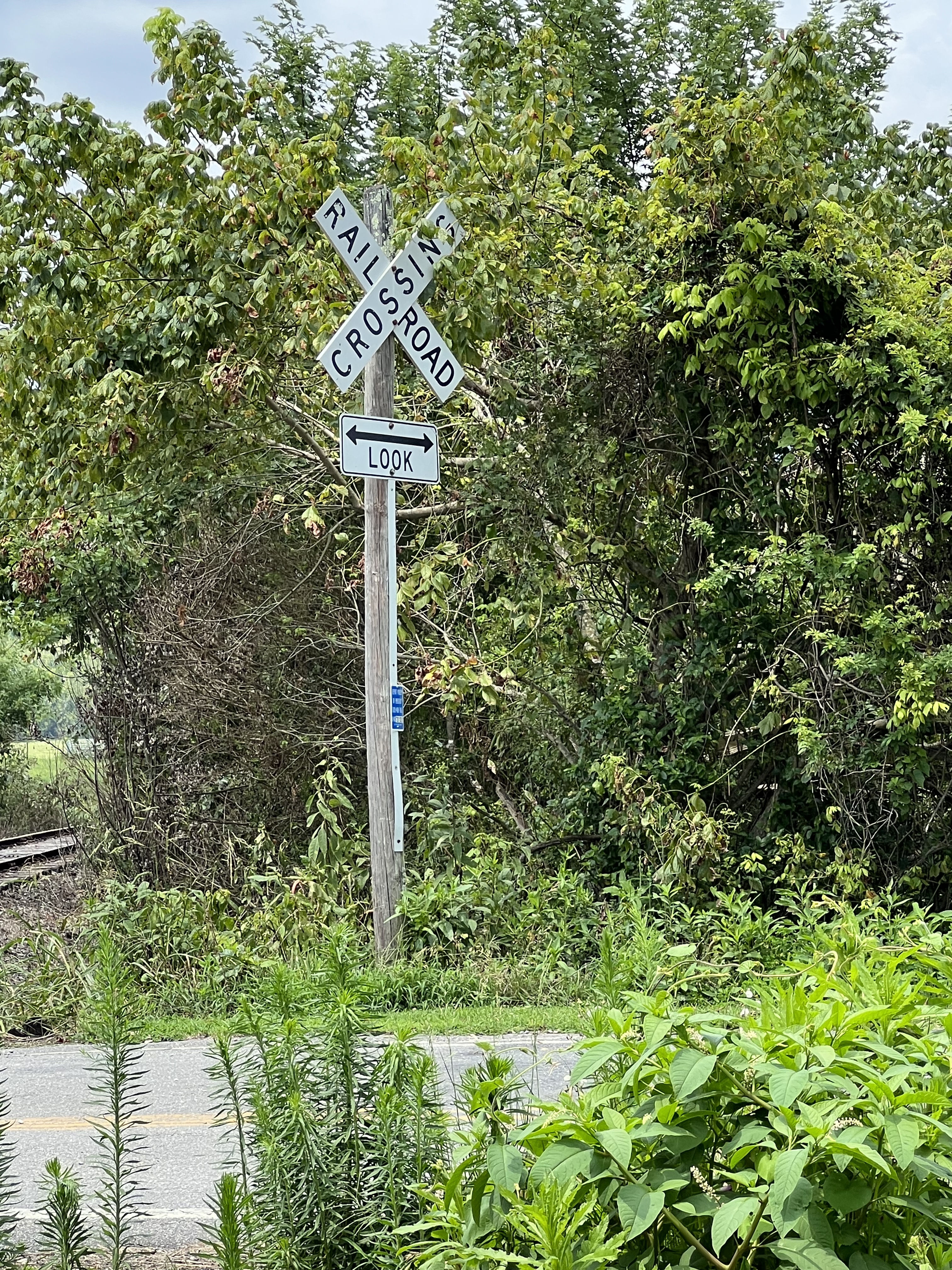 ./2023/11 - Asheville/IMG_9898.jpg